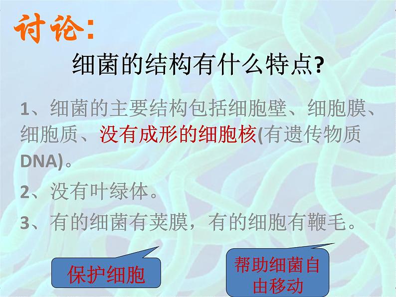 浙教版科学七年级下册 1.6 细菌和真菌的繁殖1 课件第5页