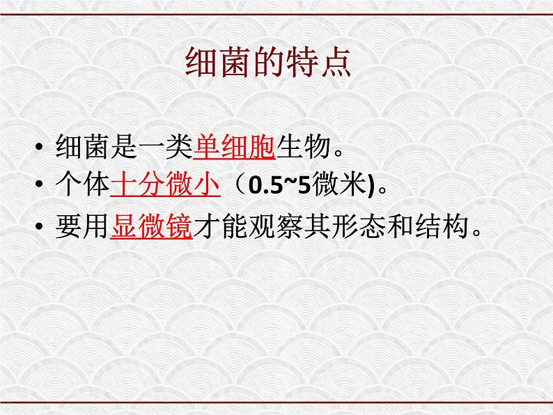 浙教版科学七年级下册 1.6 细菌和真菌的繁殖2 课件第2页