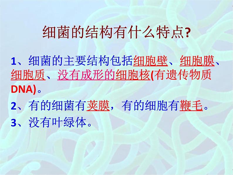 浙教版科学七年级下册 1.6 细菌和真菌的繁殖2 课件第8页