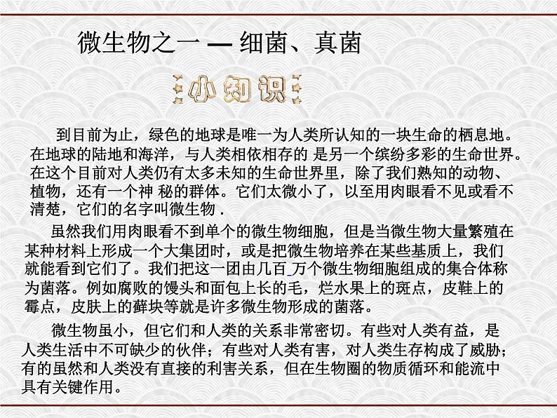 浙教版科学七年级下册 1.6 细菌和真菌的繁殖3 课件02