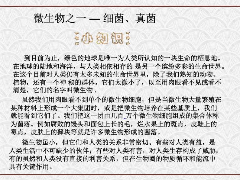 浙教版科学七年级下册 1.6 细菌和真菌的繁殖3 课件02