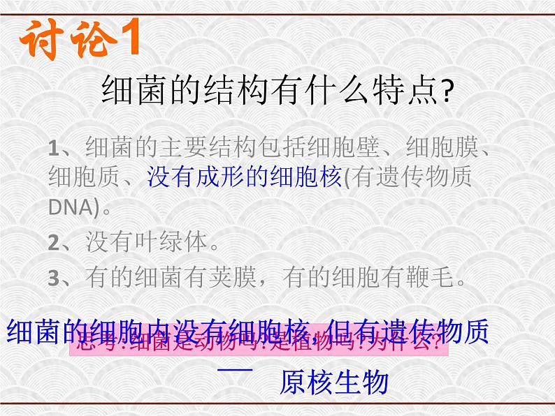 浙教版科学七年级下册 1.6 细菌和真菌的繁殖3 课件07