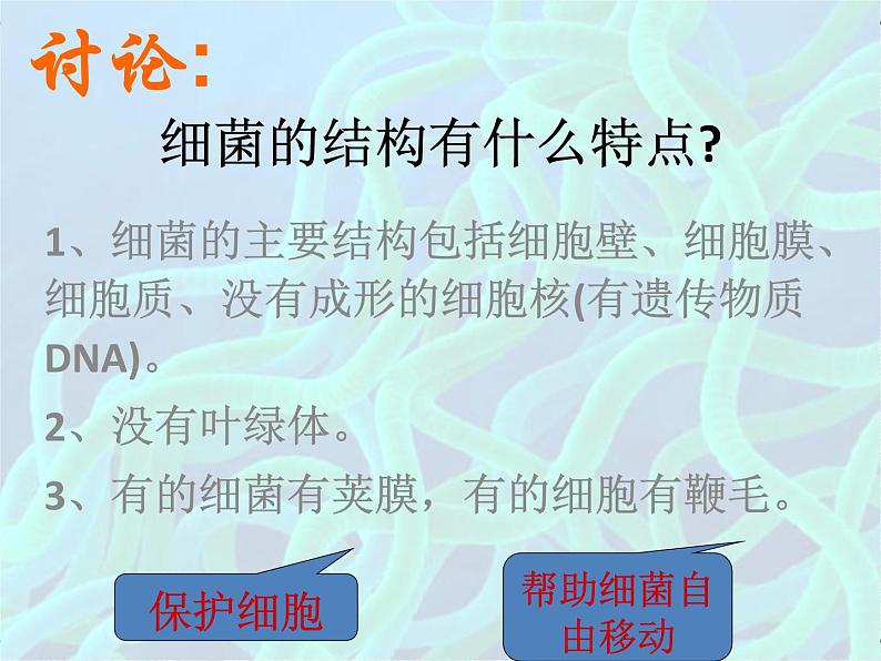 浙教版科学七年级下册 1.6 细菌和真菌的繁殖4 课件第2页