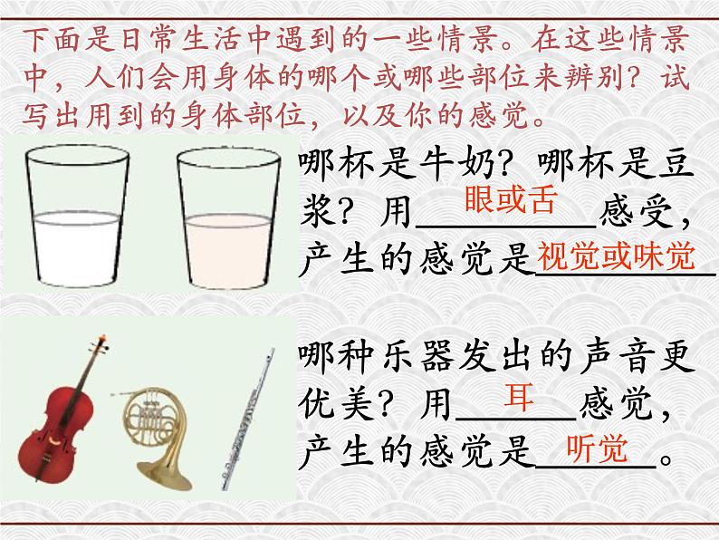 浙教版科学七年级下册 2.1 感觉世界 课件第2页