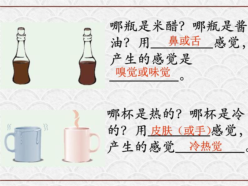 浙教版科学七年级下册 2.1 感觉世界 课件第3页