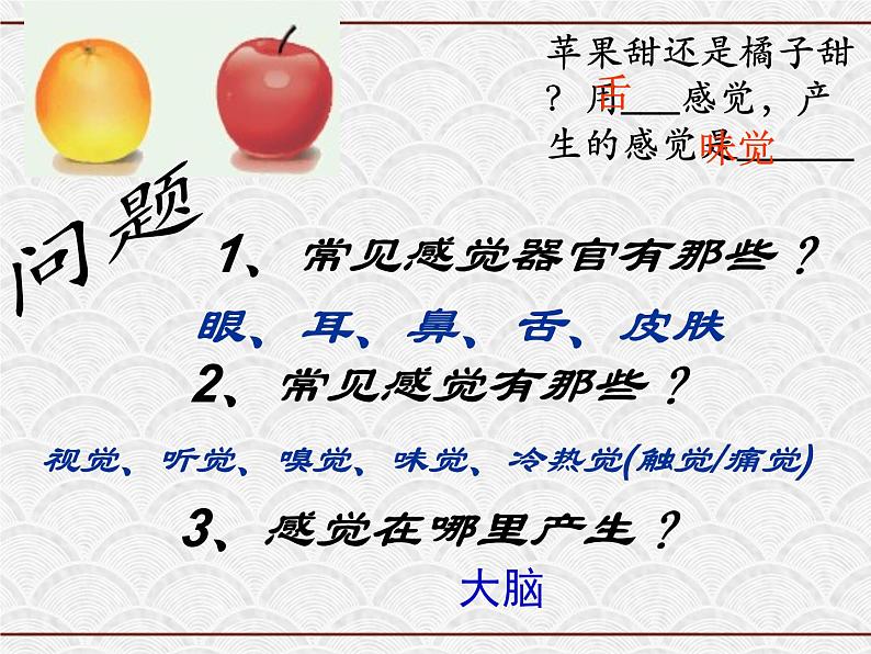 浙教版科学七年级下册 2.1 感觉世界 课件第4页