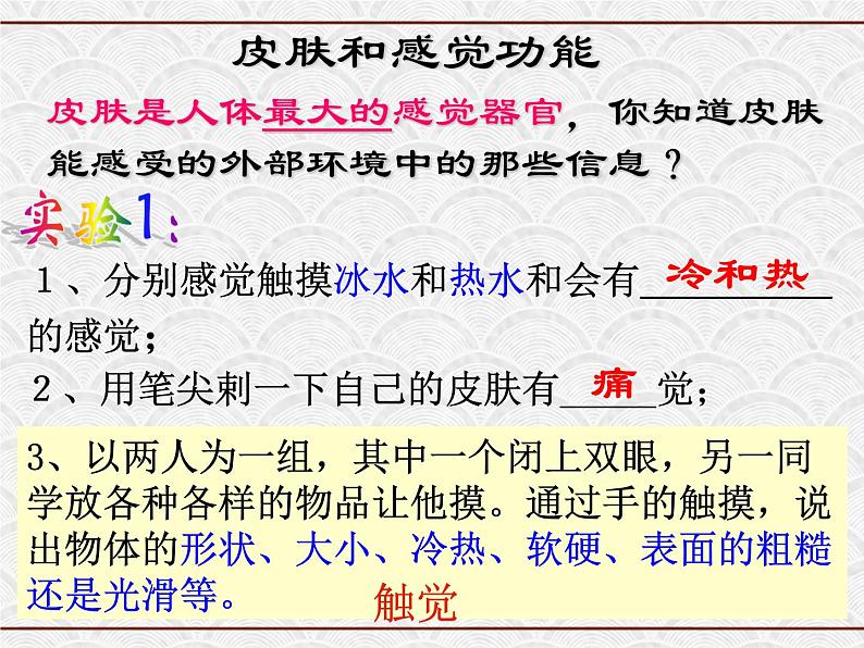 浙教版科学七年级下册 2.1 感觉世界 课件第8页