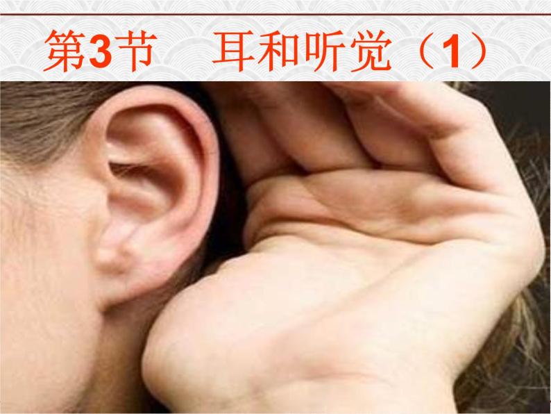 浙教版科学七年级下册 2.3 耳和听觉 课件01