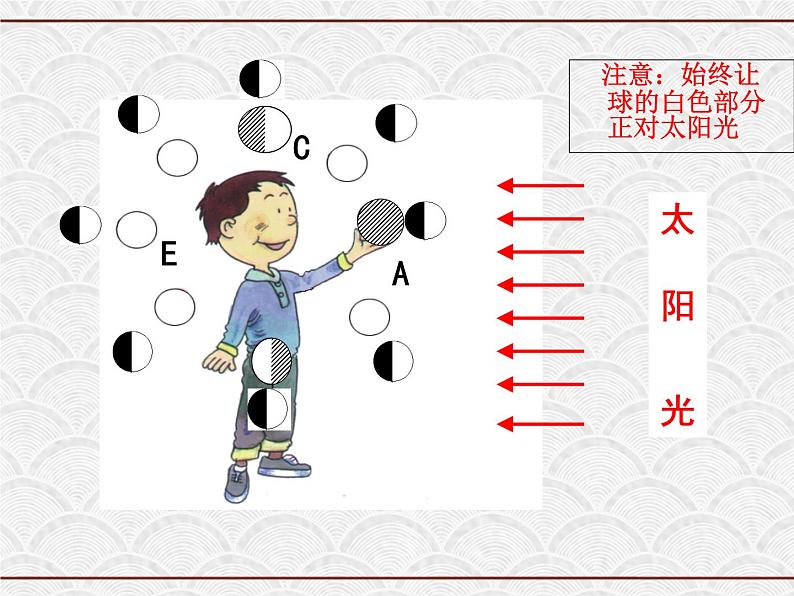 浙教版科学七年级下册 4.4 月相2 课件02