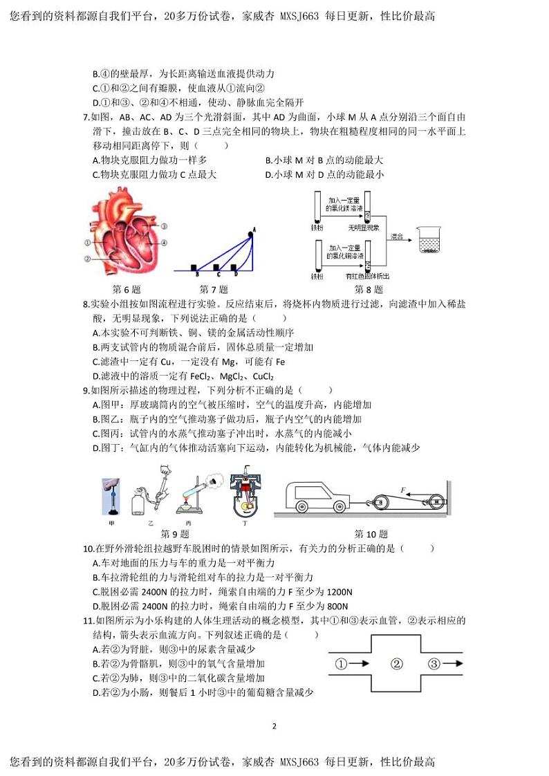41，浙江省义乌市江东中学2023-2024学年九年级下学期开学检测科学试卷(1)02