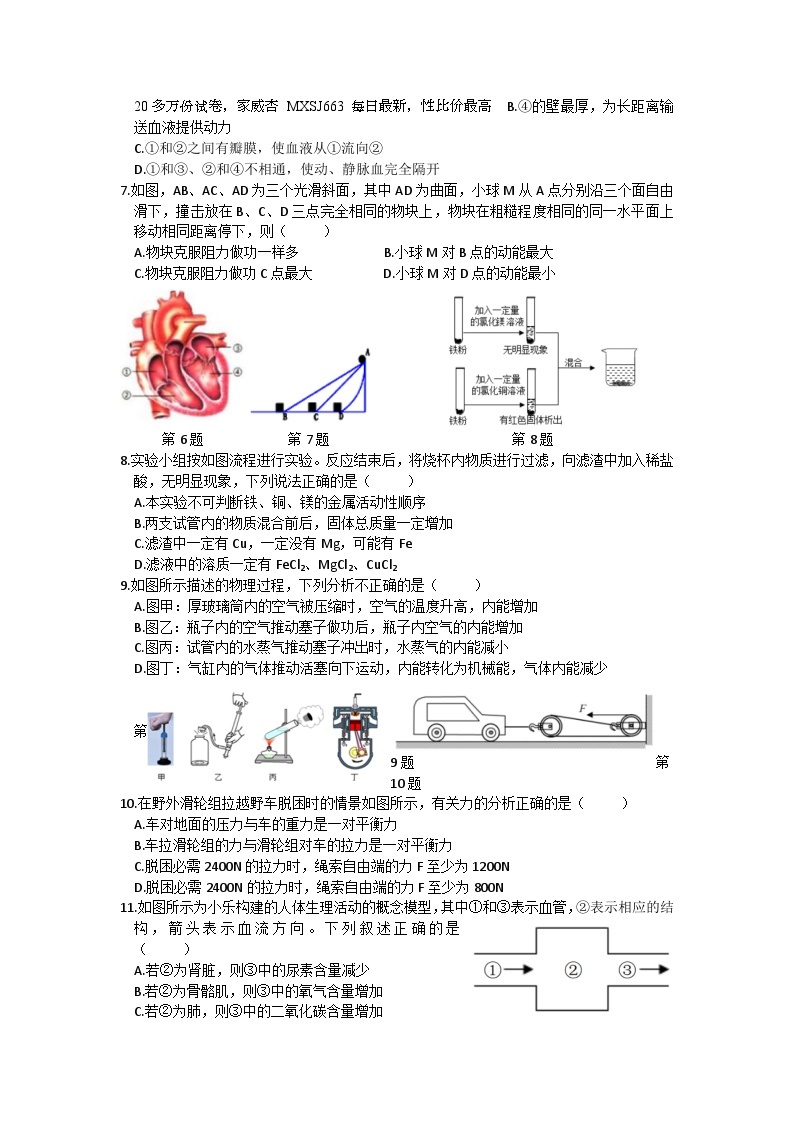 41，浙江省义乌市江东中学2023-2024学年九年级下学期开学检测科学试卷02