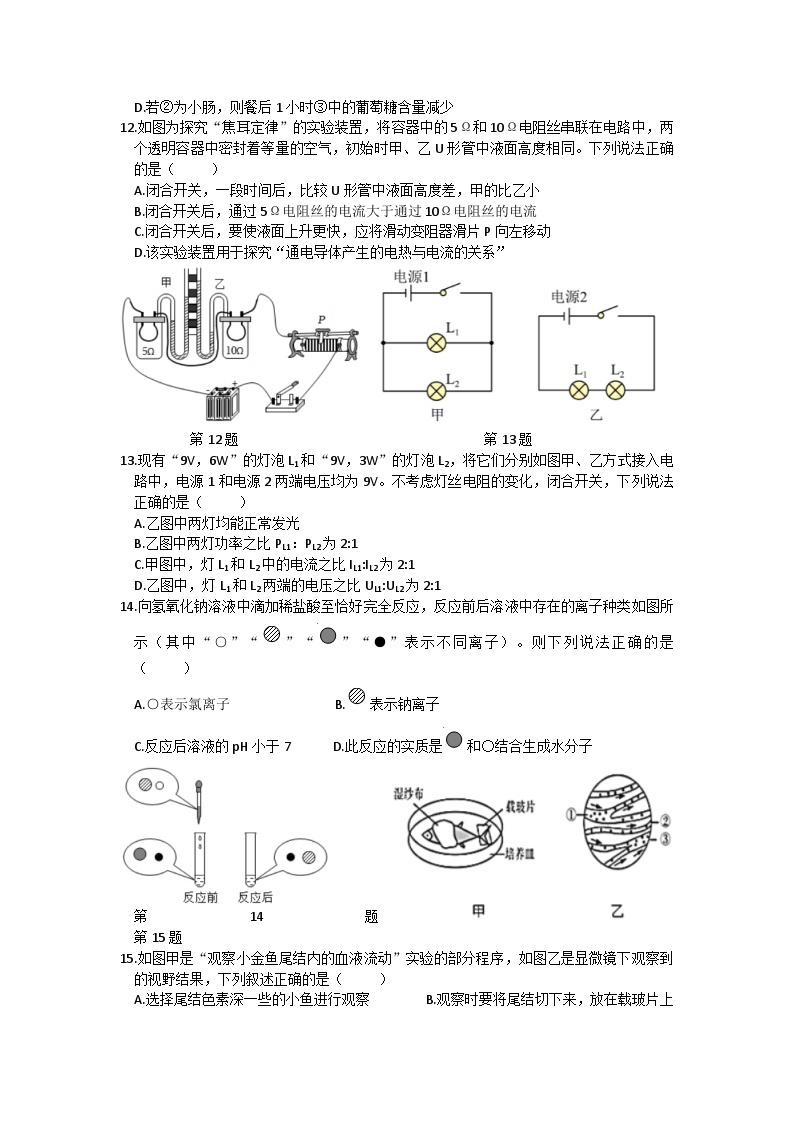 41，浙江省义乌市江东中学2023-2024学年九年级下学期开学检测科学试卷03