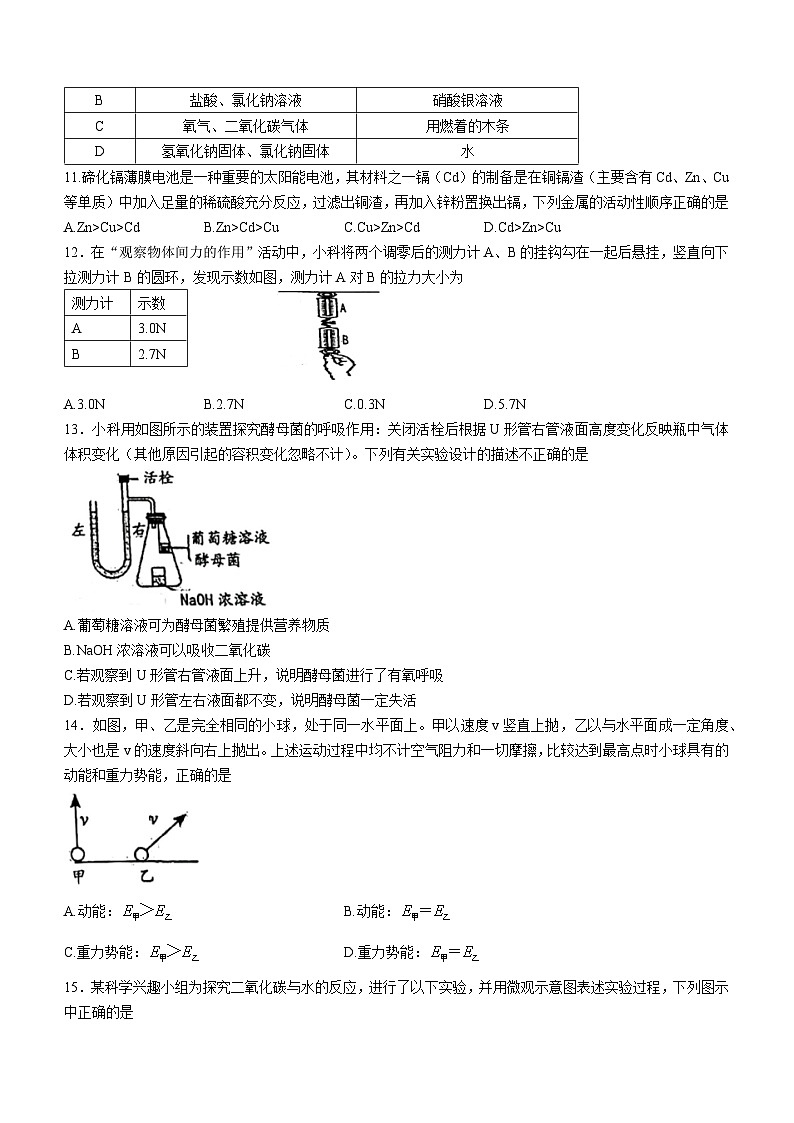 21，浙江省温州市南浦实验中学2023-2024学年九年级下学期开学考试科学试卷()03