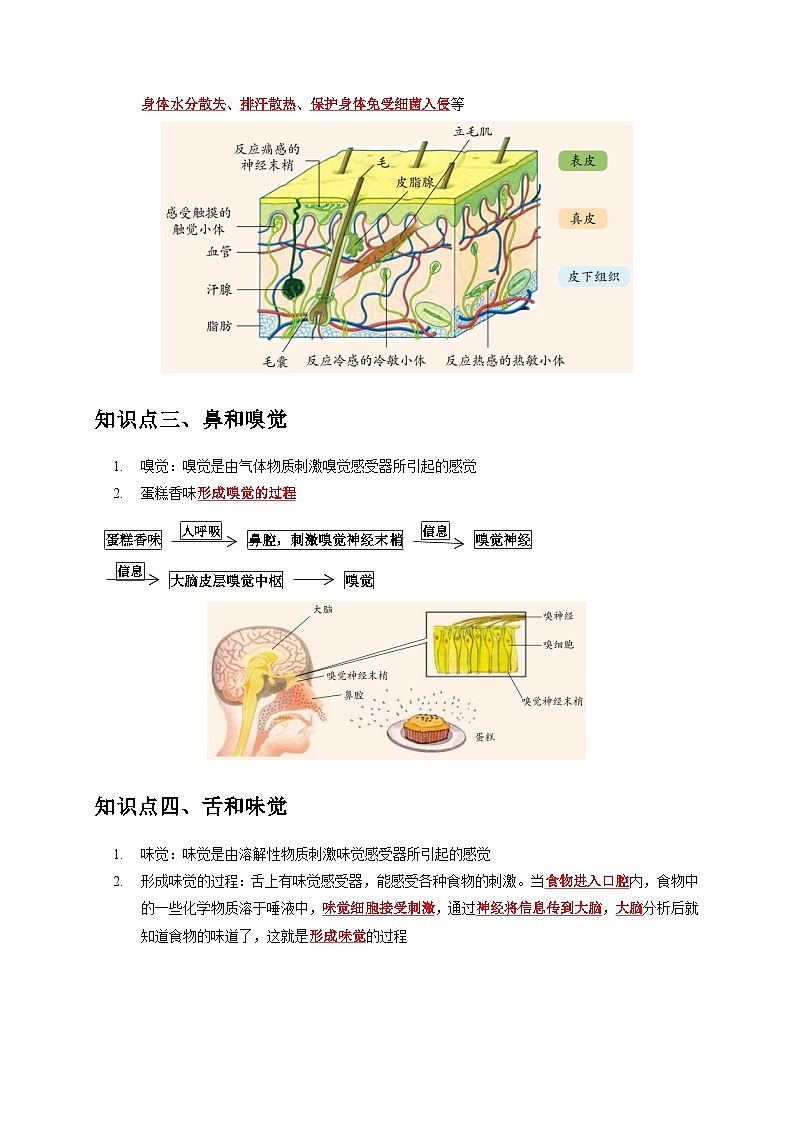 2.1 感觉世界——2023-2024学年七年级下册科学高效讲与练（浙教版）02