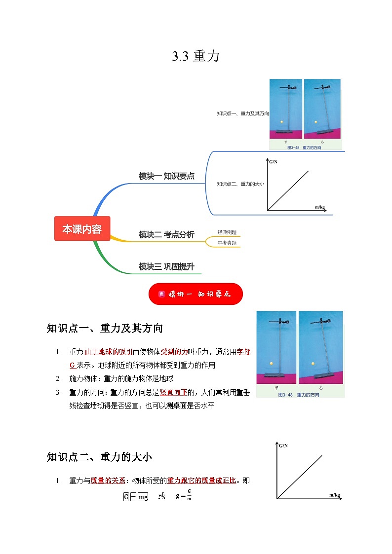 3.3 重力——2023-2024学年七年级下册科学高效讲与练（浙教版）01