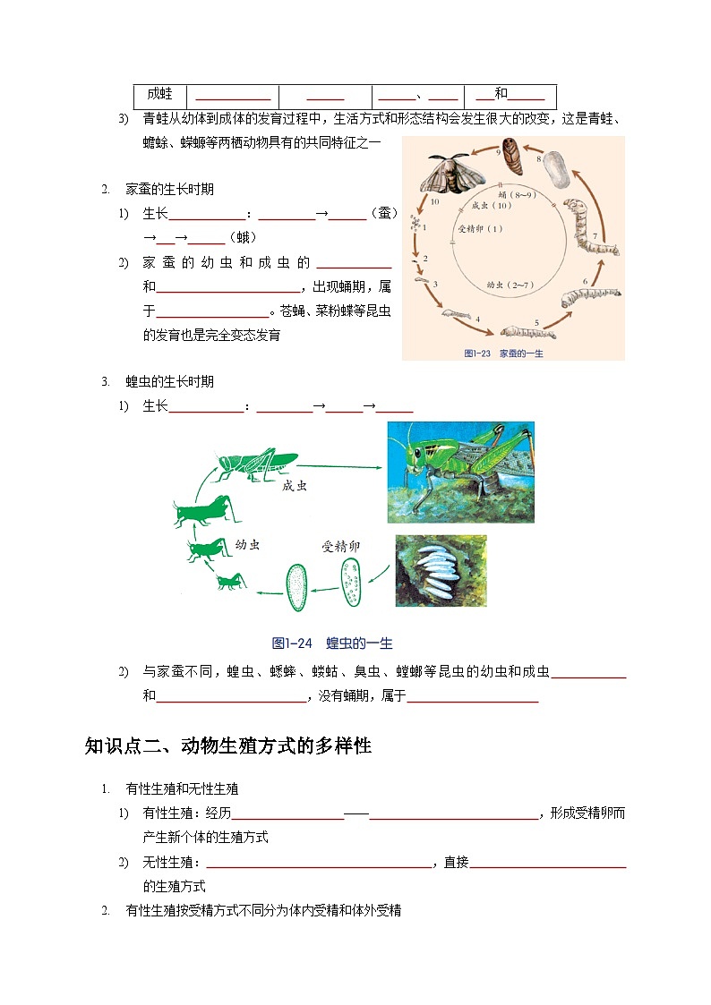 1.3 动物的生长周期——2023-2024学年七年级下册科学高效讲与练（浙教版）02