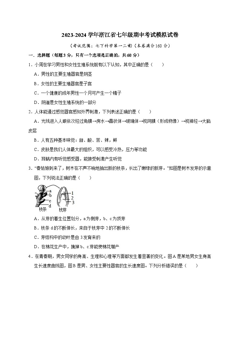 浙江省七年级期中考试模拟试卷——2023-2024学年七年级下册科学高效讲与练（浙教版）01