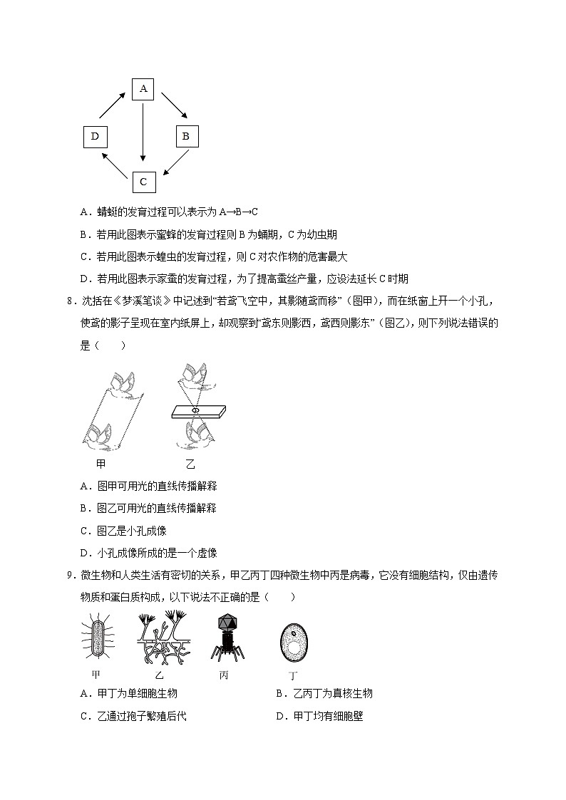 浙江省七年级期中考试模拟试卷——2023-2024学年七年级下册科学高效讲与练（浙教版）03
