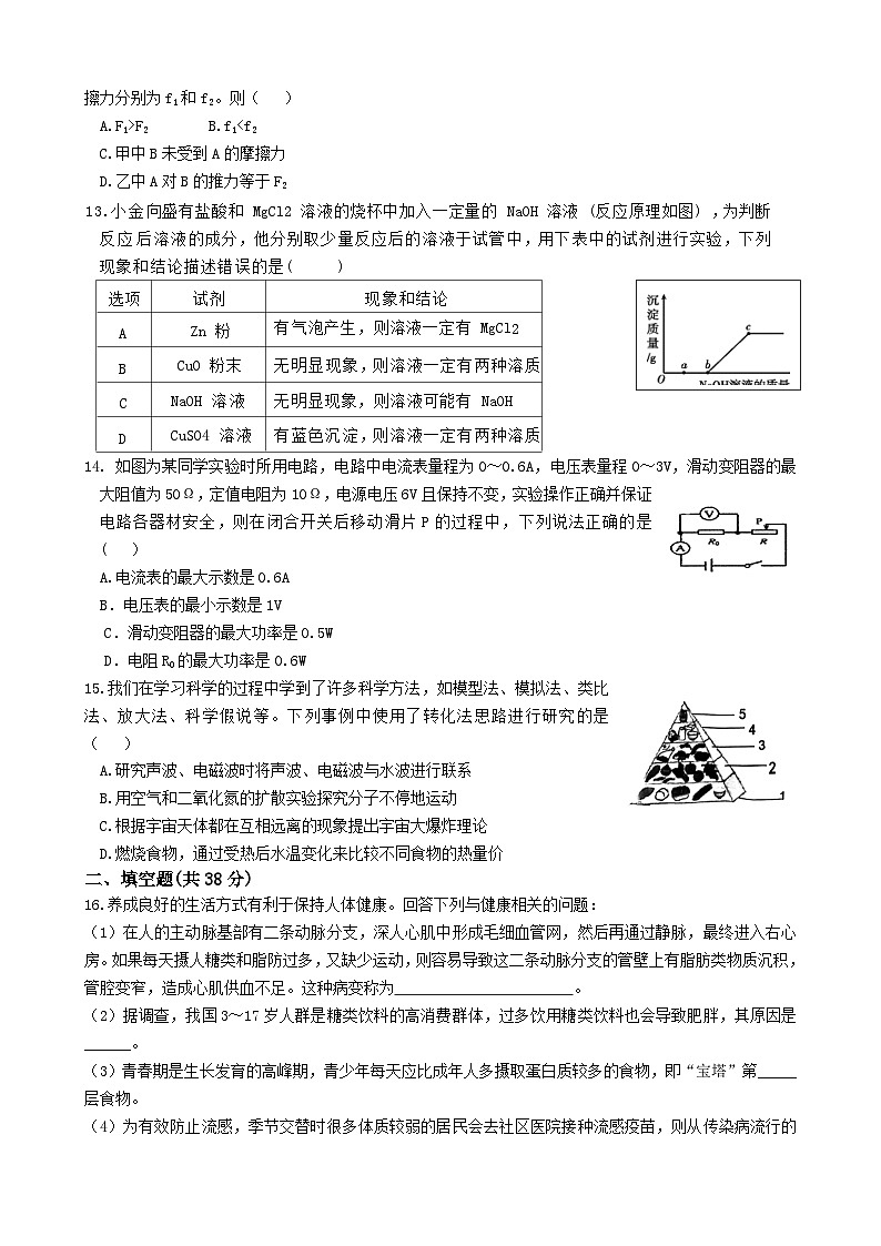 ，2024年浙江省中考科学模拟试题一(1)第3页