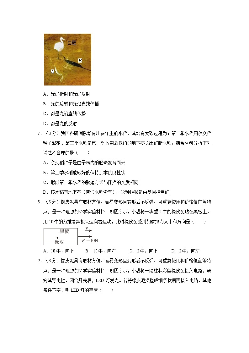 2024年浙江省温州外国语学校中考科学一模试卷03