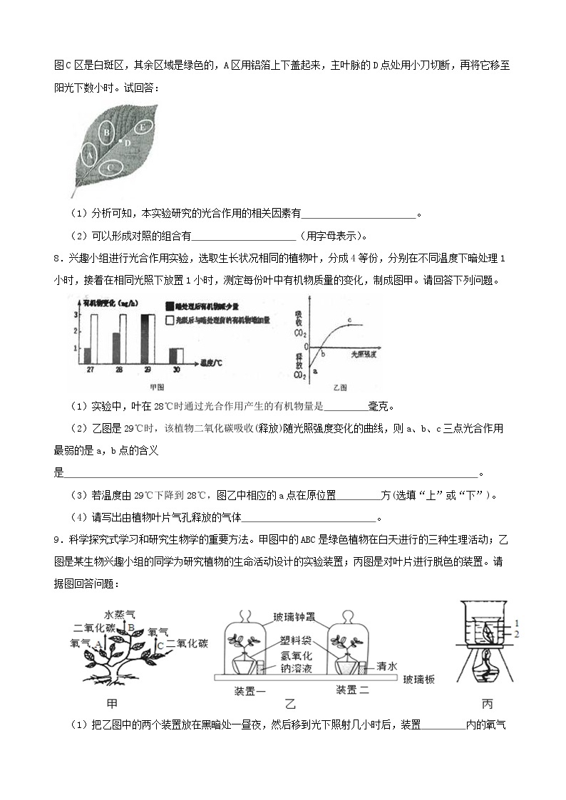 3.6光合作用-2022-2023学年八年级科学下学期课后培优分级练（浙教版）02