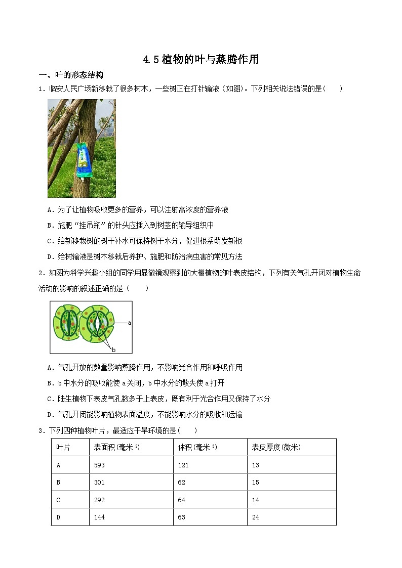 4.5植物的叶与蒸腾作用-2022-2023学年八年级科学下学期课后培优分级练（浙教版）第1页