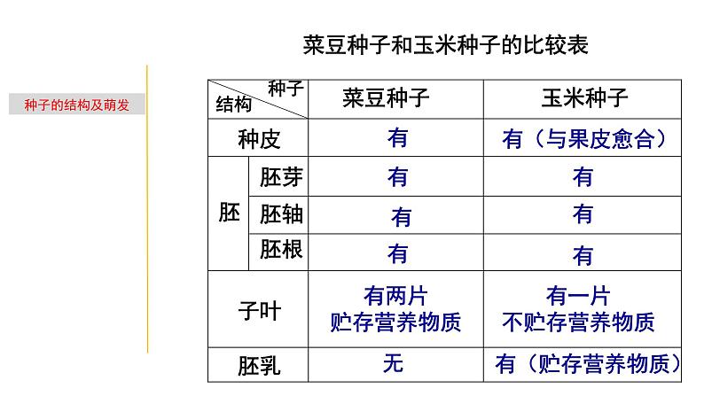 1.3 植物的一生-七年级科学下册知识点讲解与规律总结（浙教版）(PPT)08