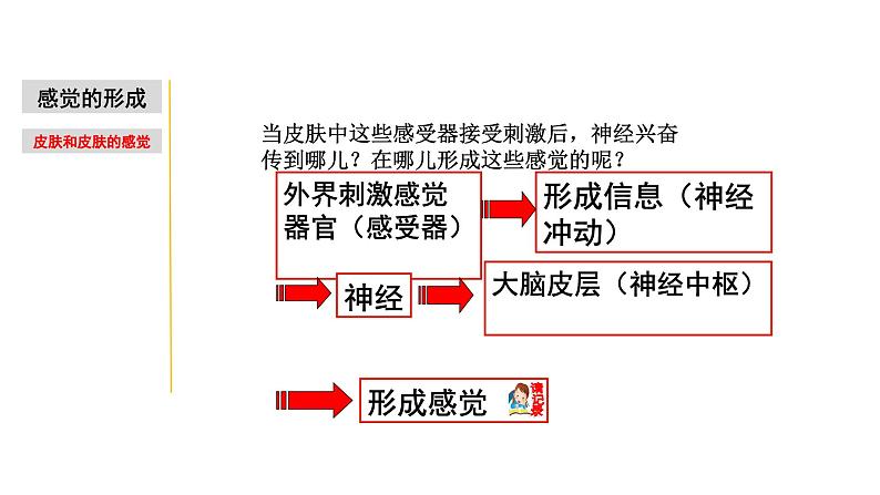 2.1 感觉世界&声音的产生和传播-七年级科学下册知识点讲解与规律总结（浙教版）(PPT)07