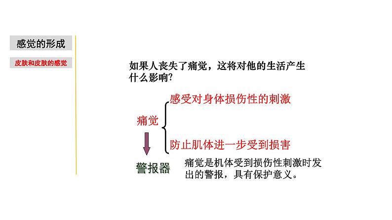 2.1 感觉世界&声音的产生和传播-七年级科学下册知识点讲解与规律总结（浙教版）(PPT)08