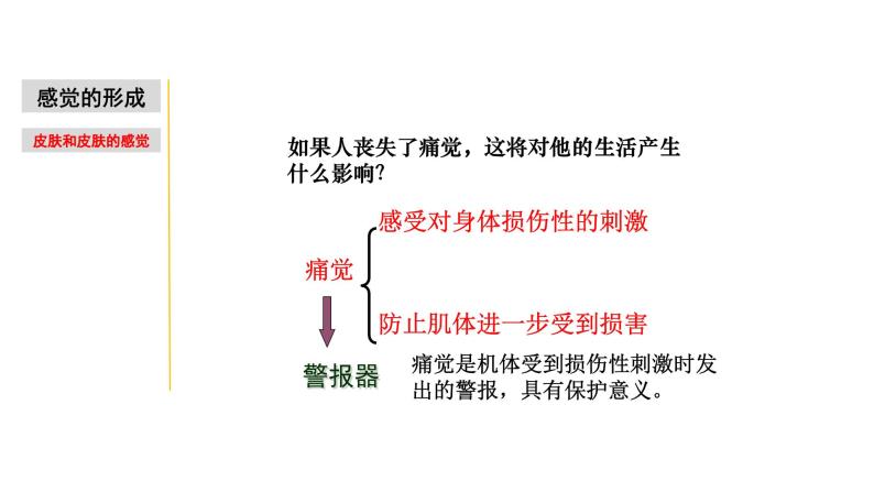 2.1 感觉世界&声音的产生和传播-七年级科学下册知识点讲解与规律总结（浙教版）(PPT)08