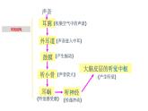 2.2 耳和听觉-七年级科学下册知识点讲解与规律总结（浙教版）(PPT)