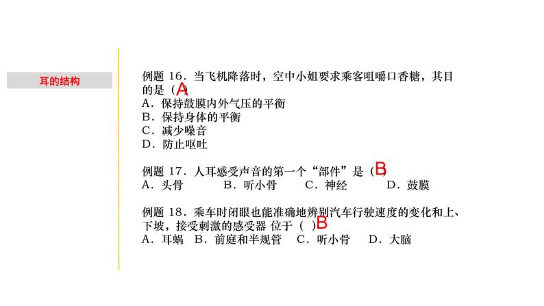 2.2 耳和听觉-七年级科学下册知识点讲解与规律总结（浙教版）(PPT)07