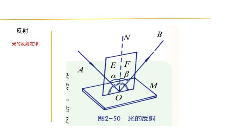 2.4 光的反射和折射-七年级科学下册知识点讲解与规律总结（浙教版）(PPT)第5页