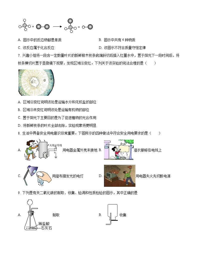 浙江省金华市婺城区八年级（下）期末科学试题（原卷版）第3页