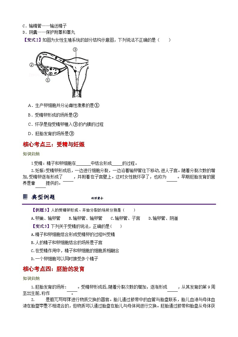 浙教版七下1.1 新生命的诞生 学案（知识精讲+典型例题+巩固训练）03