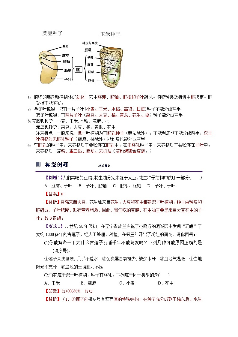 浙教版七下1.4 植物的一生 学案（知识精讲+典型例题+巩固训练）02