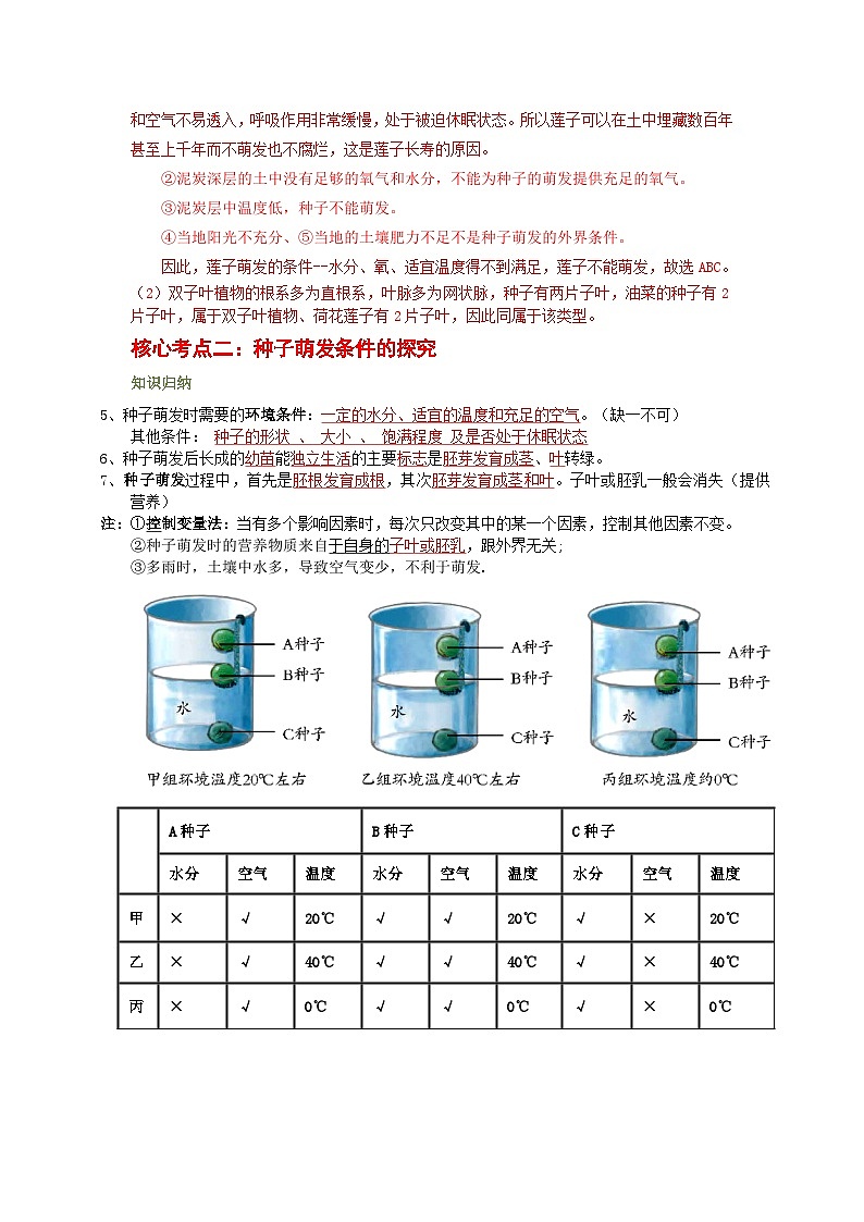 浙教版七下1.4 植物的一生 学案（知识精讲+典型例题+巩固训练）03