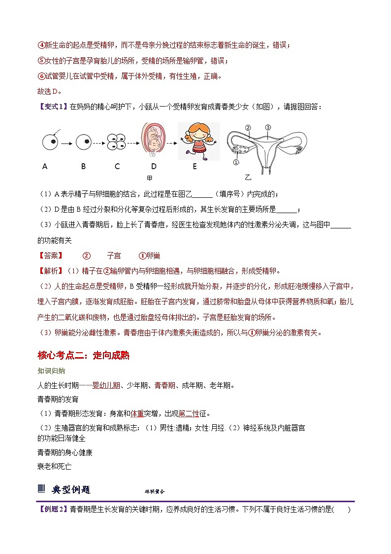浙教版七下第一章 代代相传的生命 章节复习学案（知识精讲+典型例题+巩固训练）02
