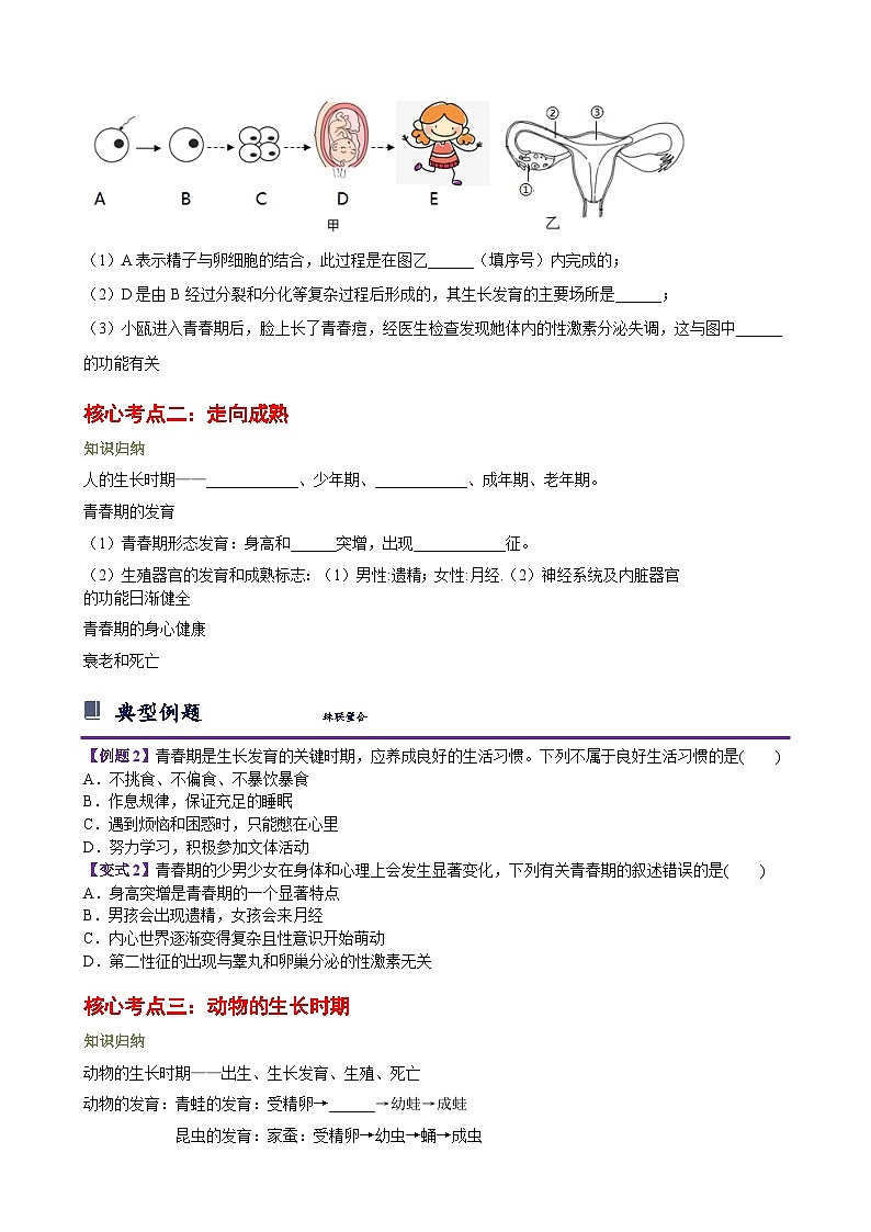 浙教版七下第一章 代代相传的生命 章节复习学案（知识精讲+典型例题+巩固训练）02