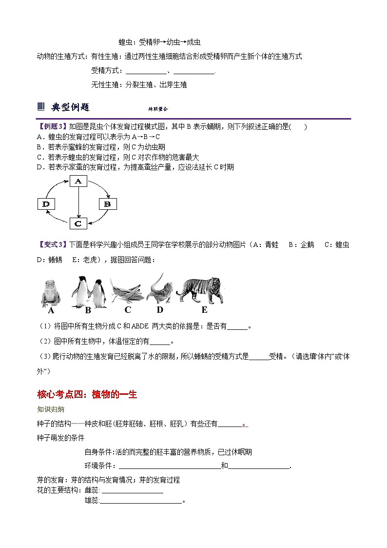 浙教版七下第一章 代代相传的生命 章节复习学案（知识精讲+典型例题+巩固训练）03