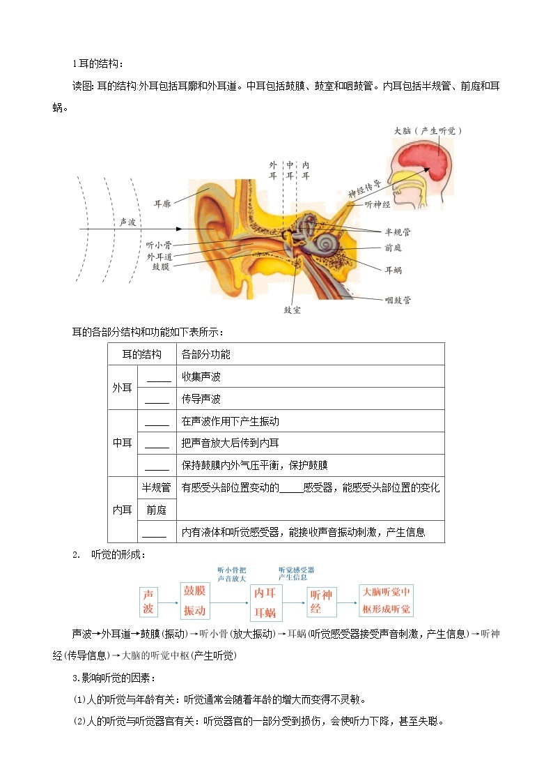 浙教版七下2.3 耳和听觉 学案（知识精讲+典型例题+巩固训练）02