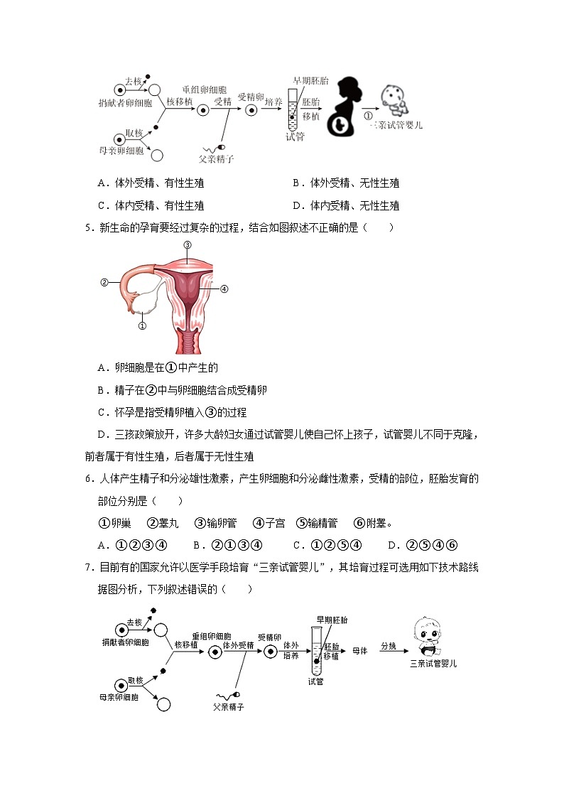 1.1新生命的诞生同步练习浙教版七年级下册科学第2页