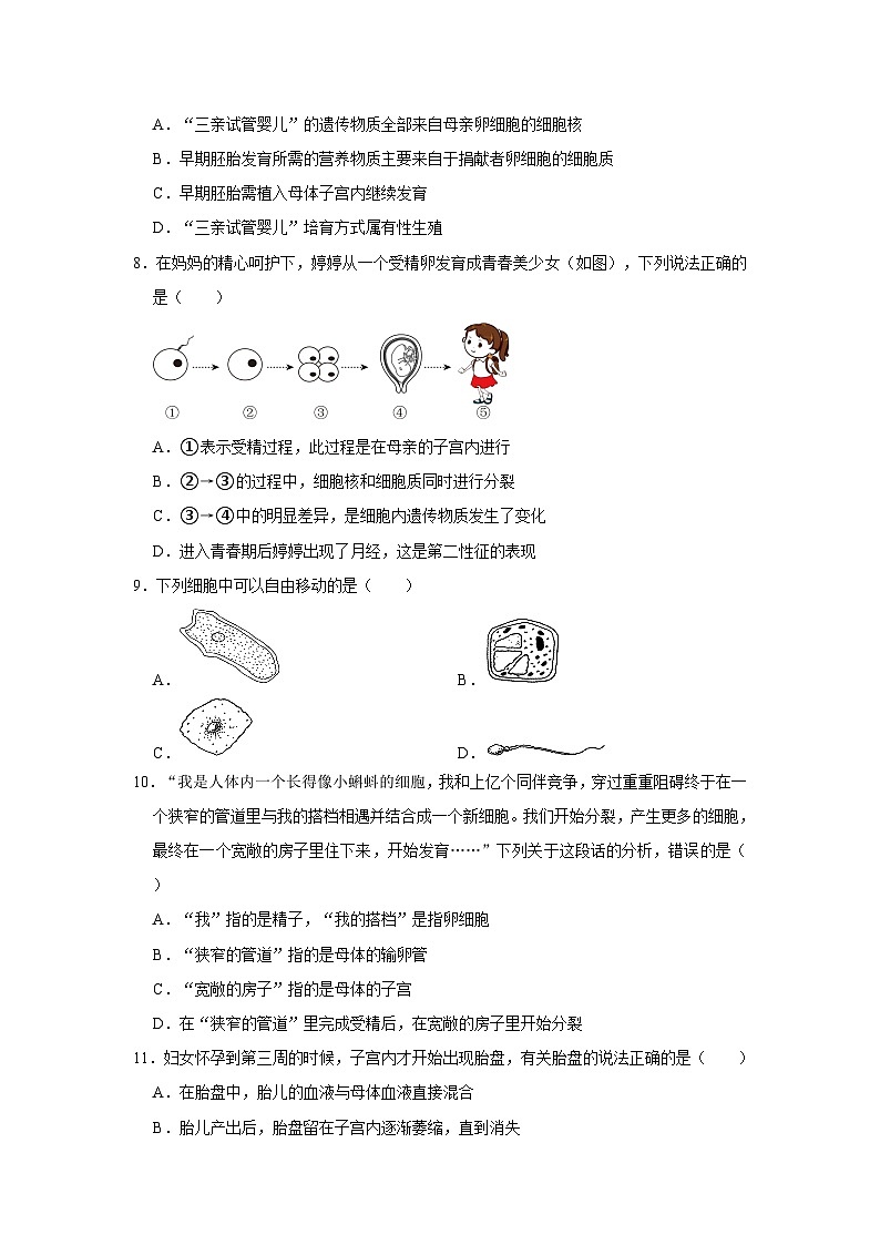 1.1新生命的诞生同步练习浙教版七年级下册科学第3页