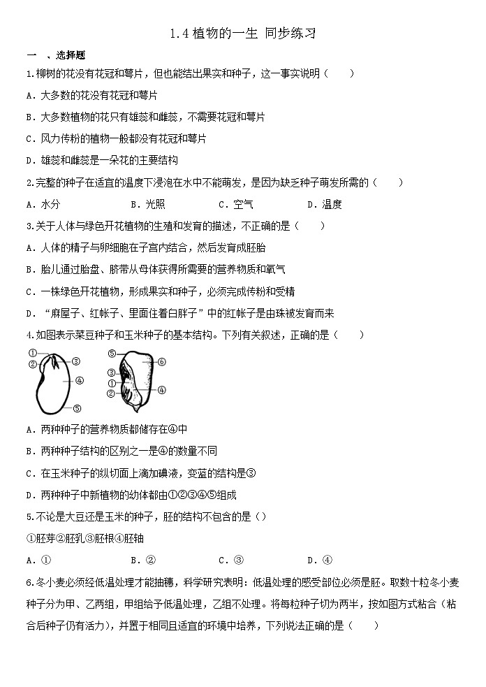 1.4植物的一生 同步练习 浙教版七年级上册科学第1页