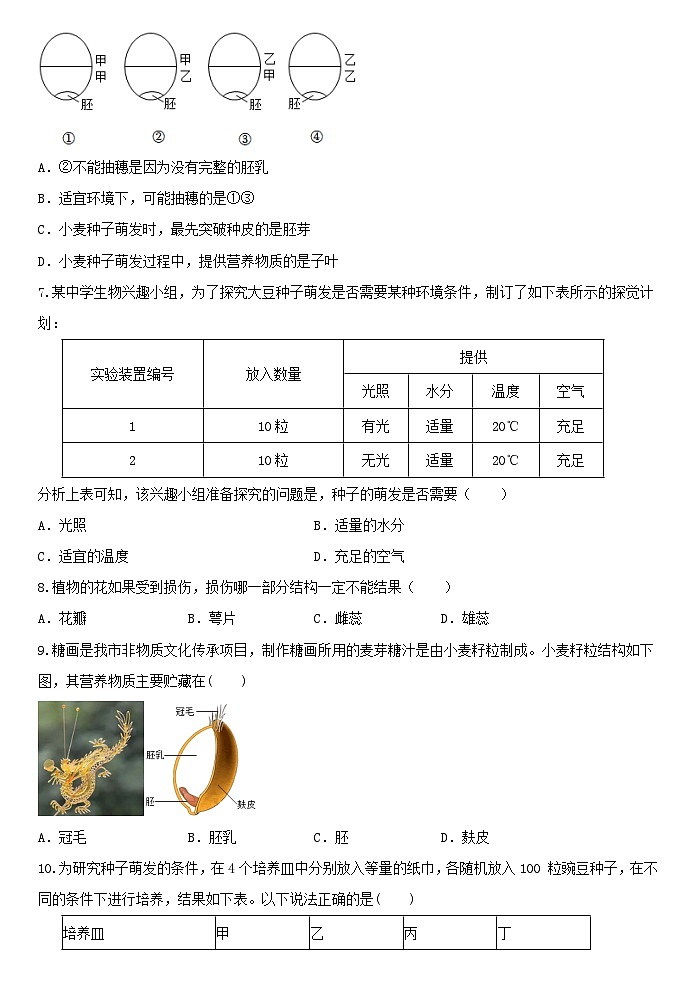 1.4植物的一生 同步练习 浙教版七年级上册科学第2页