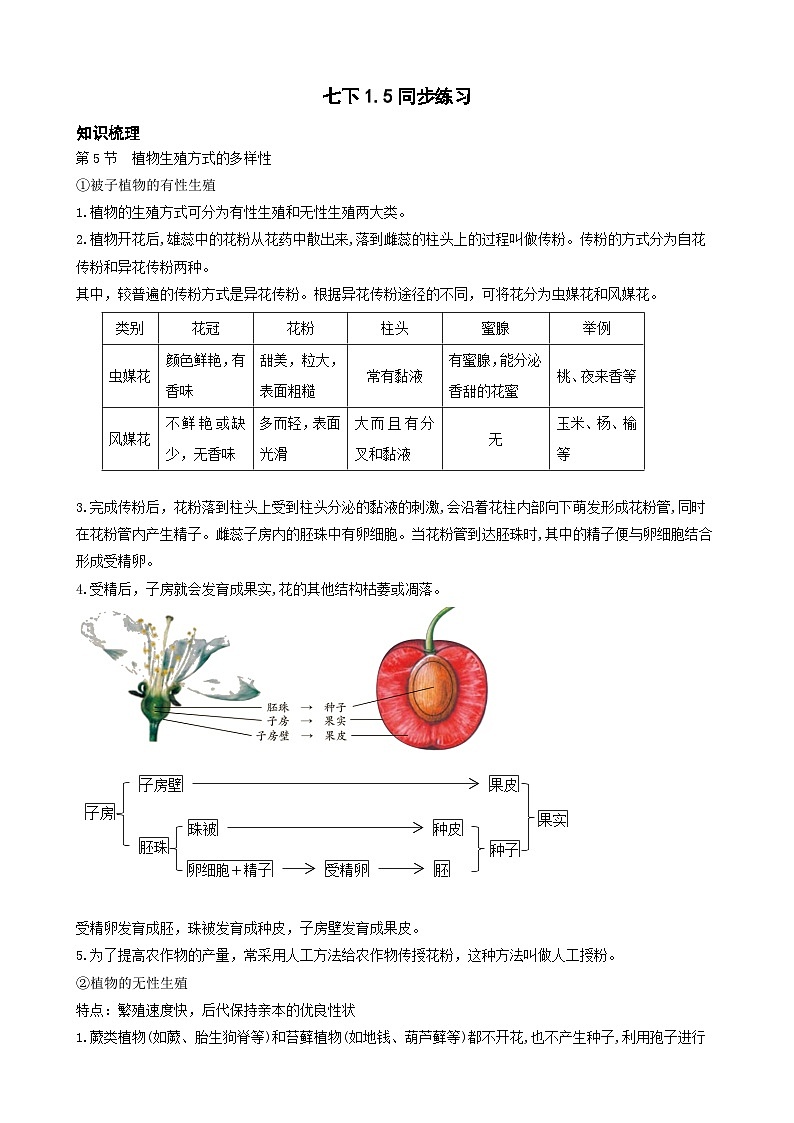 1.5植物生殖方式的多样性 同步练习（带知识点）浙教版七年级下册科学第1页