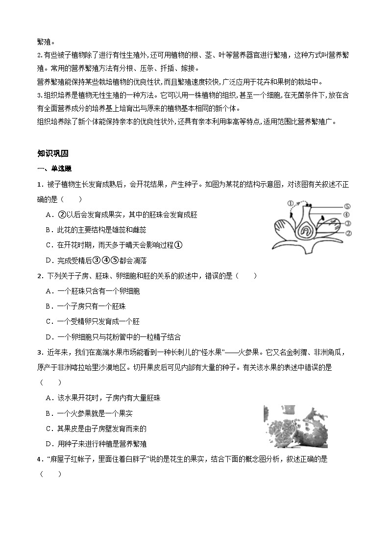 1.5植物生殖方式的多样性 同步练习（带知识点）浙教版七年级下册科学第2页
