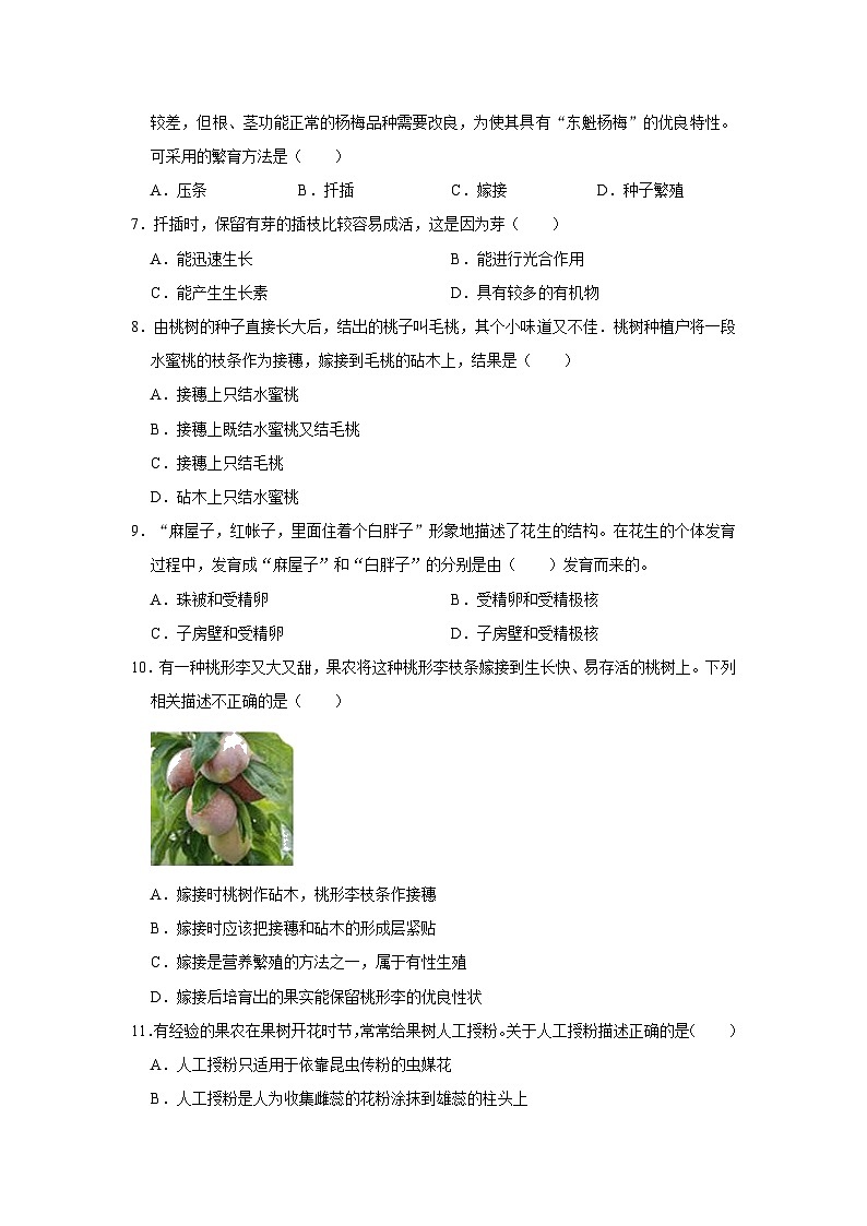 1.5植物生殖方式的多样性同步练习  浙教版七年级下册科学第2页