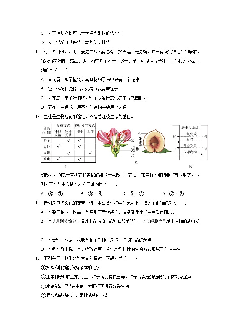 1.5植物生殖方式的多样性同步练习  浙教版七年级下册科学第3页