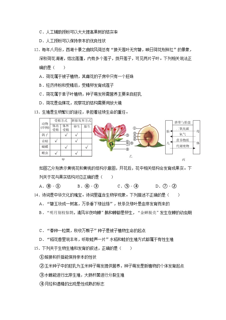 1.5植物生殖方式的多样性同步练习  浙教版七年级下册科学03